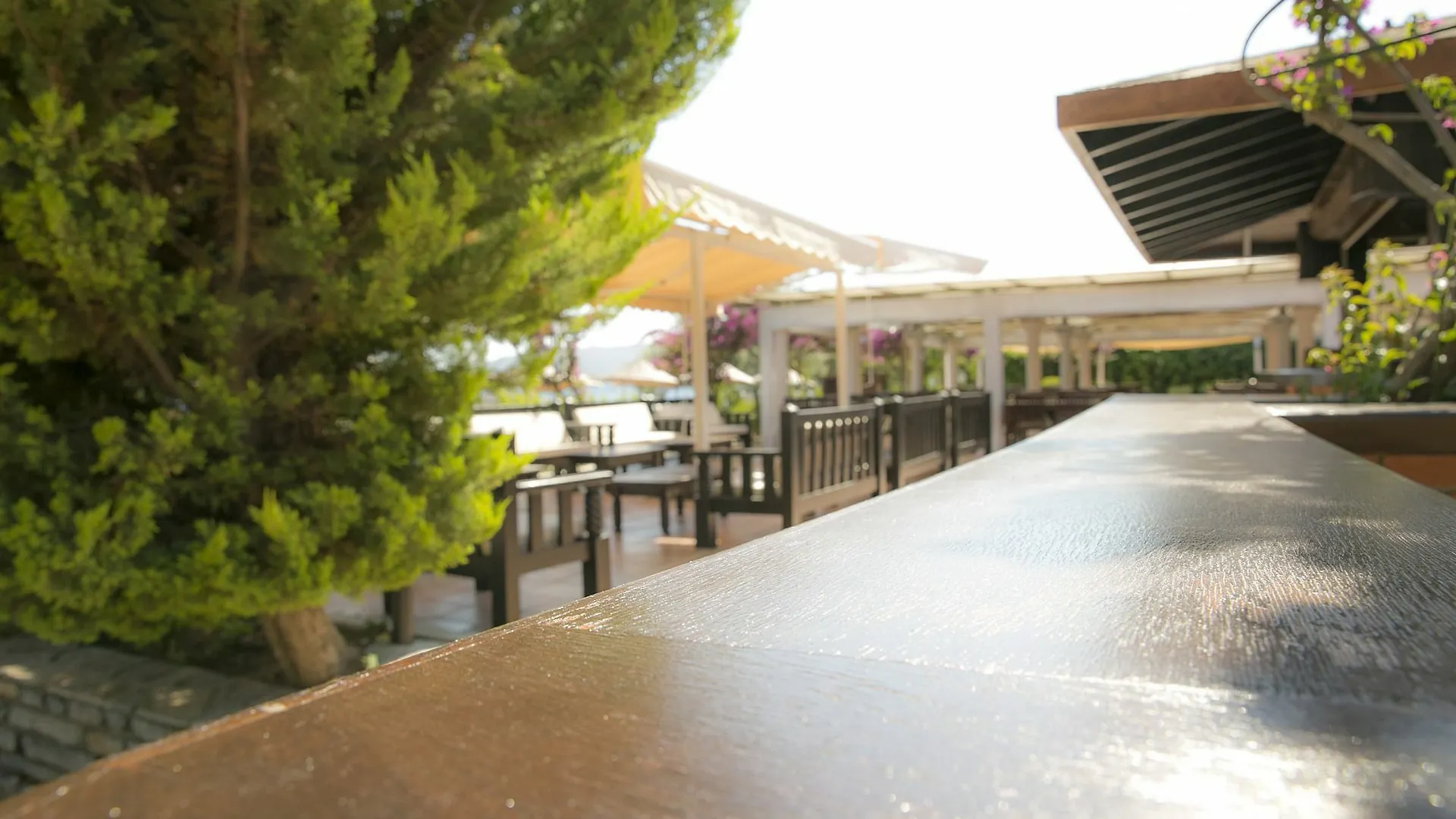 Bodrum Sea Side Beach Club Hotel Ortakent
