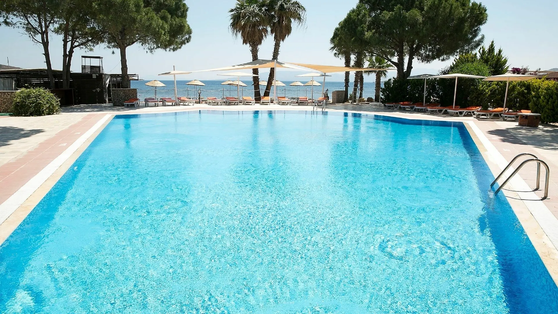 Bodrum Sea Side Beach Club Hotel Ortakent Turkey