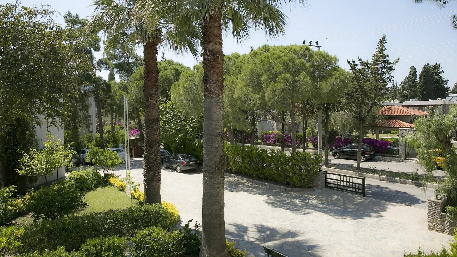 Bodrum Sea Side Beach Club Hotel Ortakent