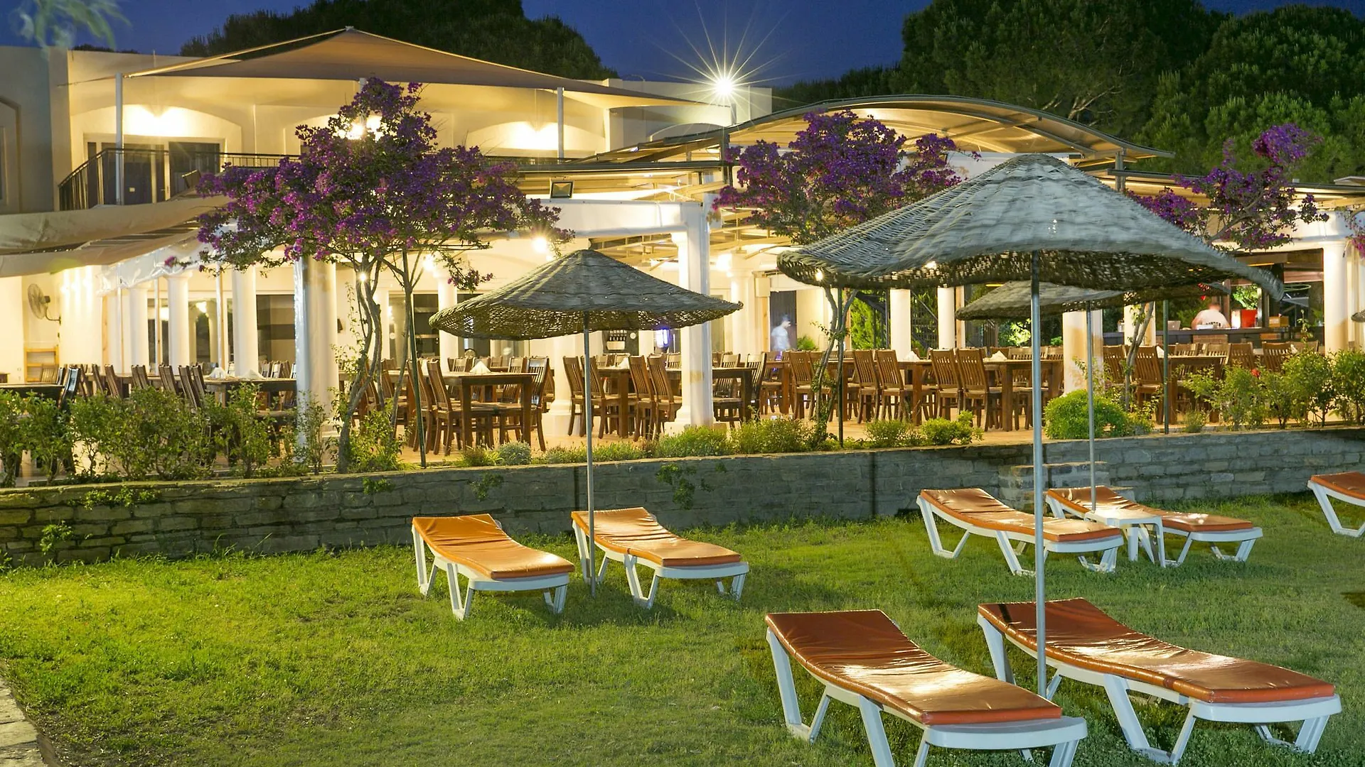 Bodrum Sea Side Beach Club Hotel Ortakent